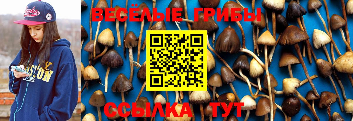 Галлюциногенные грибы ЛСД  Вход с VPN  Галлюциногенные грибы Cubensis  Дивногорск 