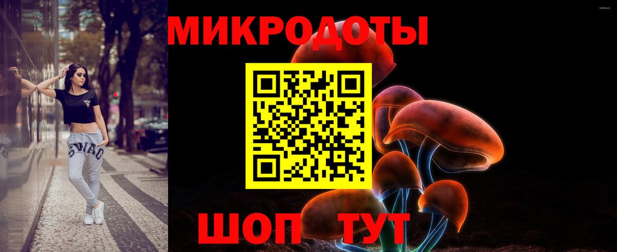 Псилоцибиновые грибы MAGIC MUSHROOMS Дивногорск
